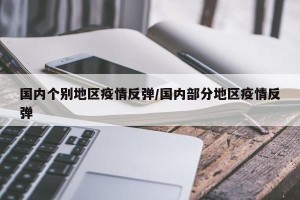 国内个别地区疫情反弹/国内部分地区疫情反弹