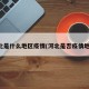 河北是什么地区疫情(河北是否疫情地区)