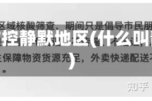 疫情防控静默地区(什么叫静默)