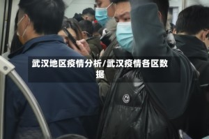 武汉地区疫情分析/武汉疫情各区数据