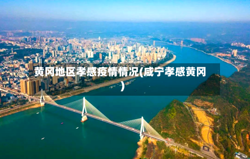 黄冈地区孝感疫情情况(咸宁孝感黄冈)-第1张图片