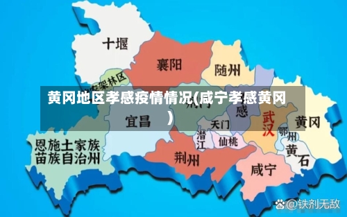 黄冈地区孝感疫情情况(咸宁孝感黄冈)-第2张图片