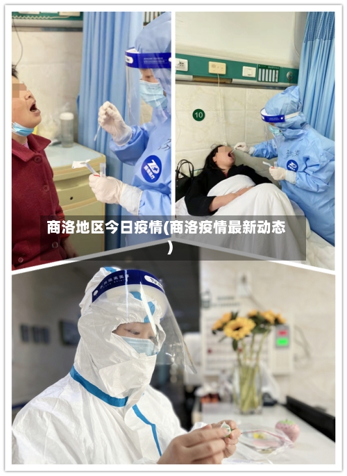 商洛地区今日疫情(商洛疫情最新动态)-第3张图片