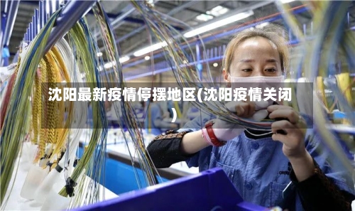 沈阳最新疫情停摆地区(沈阳疫情关闭)-第2张图片