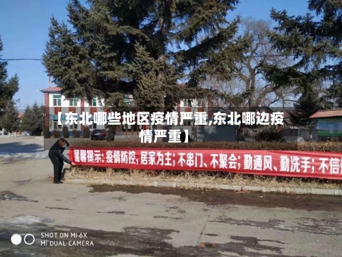 【东北哪些地区疫情严重,东北哪边疫情严重】-第2张图片