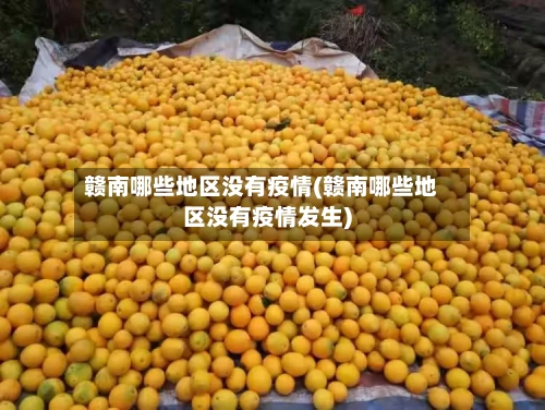 赣南哪些地区没有疫情(赣南哪些地区没有疫情发生)-第1张图片