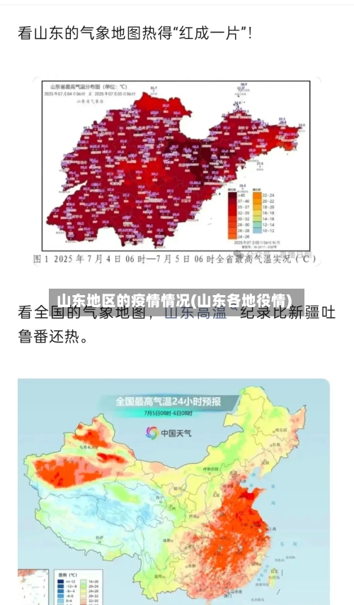 山东地区的疫情情况(山东各地役情)-第3张图片