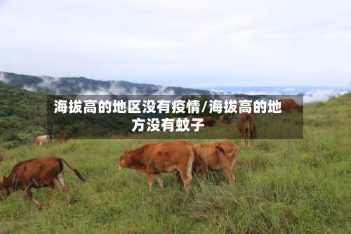 海拔高的地区没有疫情/海拔高的地方没有蚊子-第2张图片