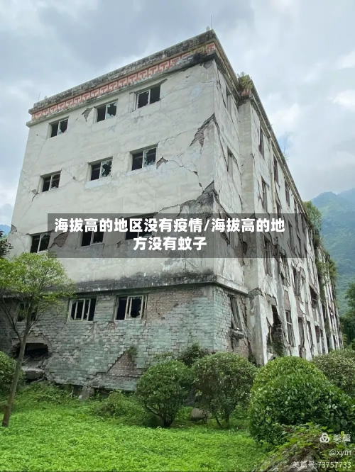 海拔高的地区没有疫情/海拔高的地方没有蚊子-第1张图片
