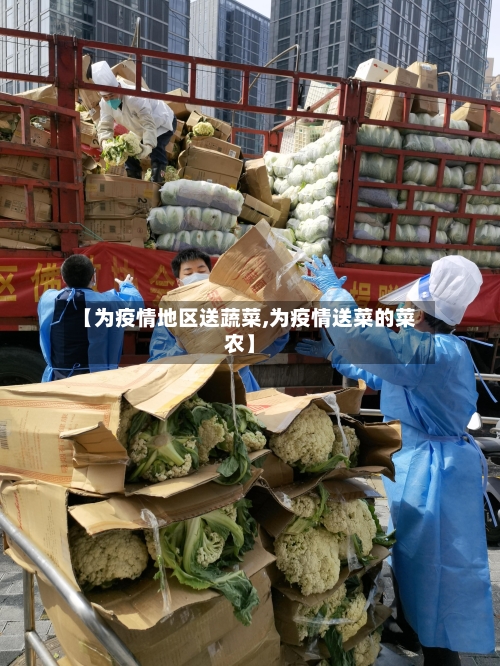 【为疫情地区送蔬菜,为疫情送菜的菜农】-第1张图片