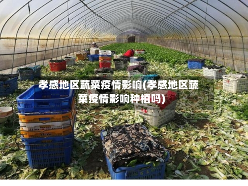孝感地区蔬菜疫情影响(孝感地区蔬菜疫情影响种植吗)-第1张图片