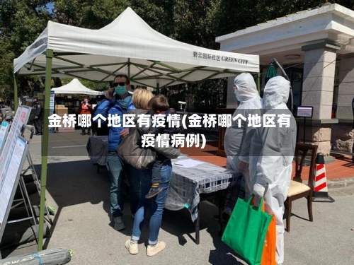 金桥哪个地区有疫情(金桥哪个地区有疫情病例)-第1张图片
